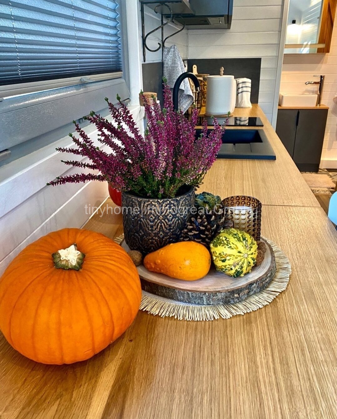 Tiny House/ Rentnerhaus in 35094 Hessen zu verkaufen: 50m² Wohnfläche, TeilMöbliert, Pachtgrundstück